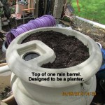 Planter on top of rain barrel