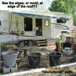 See the algae at edge of roof?