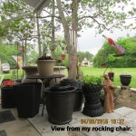 View from my rocking chair