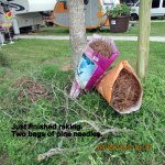 Two bags of pine needles