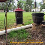 Grass to pull under feeders