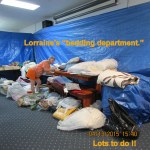 Lorraine's bedding department (1)