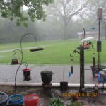 To the left of Hummingbird feeder