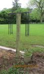 CD-rack as trellis