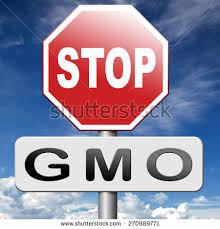 GMO Stop sign