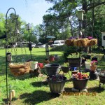 Planters in the yard.