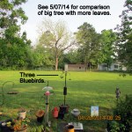 Isn't this a  beautiful view?