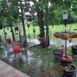 Flooded yard (left).