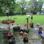 Flooded yard (center)