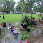 Flooded yard (right).