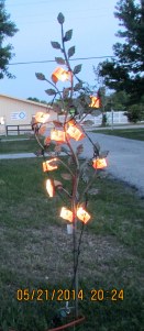 Flag lights on trellis