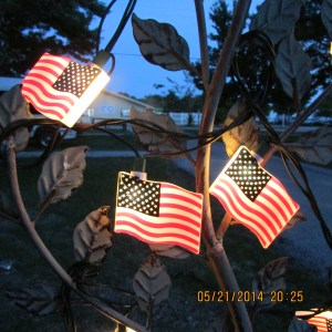 Flag lights on trellis (close up)