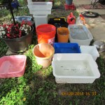 Collecting rain water