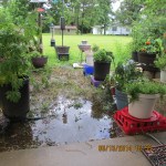 Flooded yard (center).