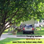 View from my easy chair