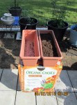 Organic soil in one of four planters
