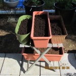 Four planters with soil