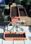 Seeds in four planters