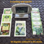 A good morning's work