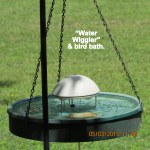 Bird bath and water wiggler