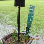 The rain gauge