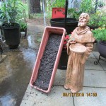 Drained water from Redina lettuce planter