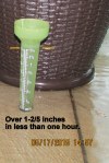 Almost two inches of rain in gauge