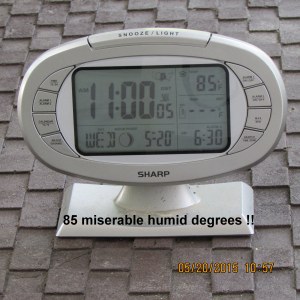 Temperature at eleven