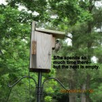 S/he spends so much time there