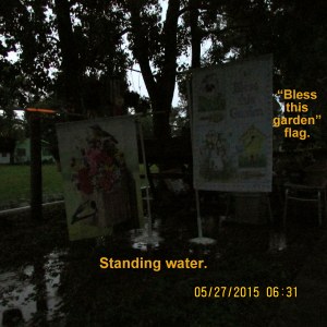 Standing water