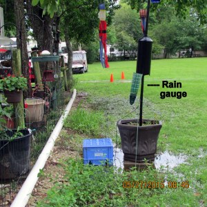 Rain gauge in broad view