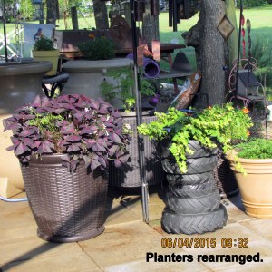 Planters rearranged