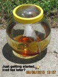 Sun tea