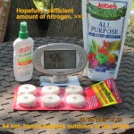 Temperature at four-thirty