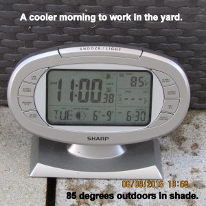 Temperature at eleven