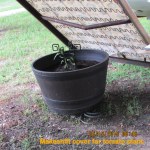 Cover for tomato plant