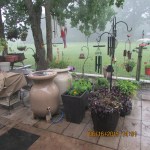Rain barrels in picture