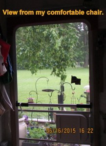 View through the screen door