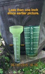 Two rain gauges