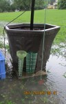 Planter and two rain gauges