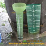 Over one inch overnight