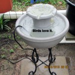 Cleaning the fountain (3)