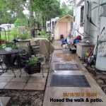 Hosed the walk and patio