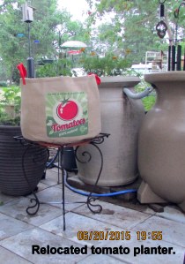 Tomato planter