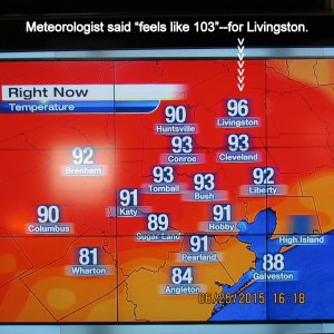 Temperature at four-fifteen