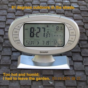 Outdoors at eight-twenty