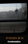 Condensation on window