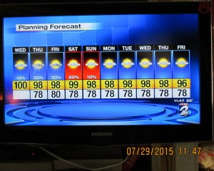 Forecast for the week