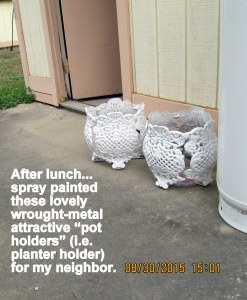 Spray painted plant holders