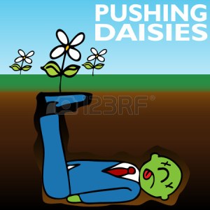 Pushing up daisies